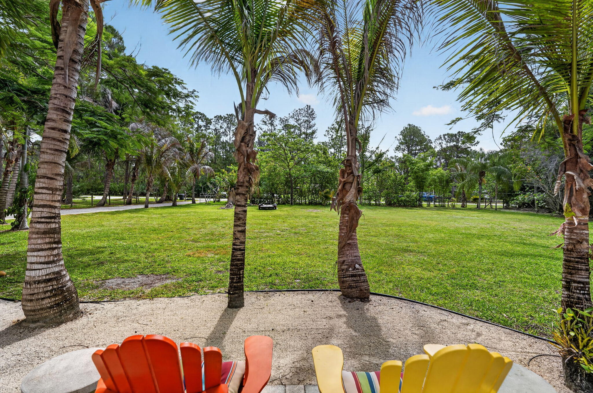 17391 Alexander Run Jupiter, FL 33478 - Photo 50 of 55 a view of a park with palm trees