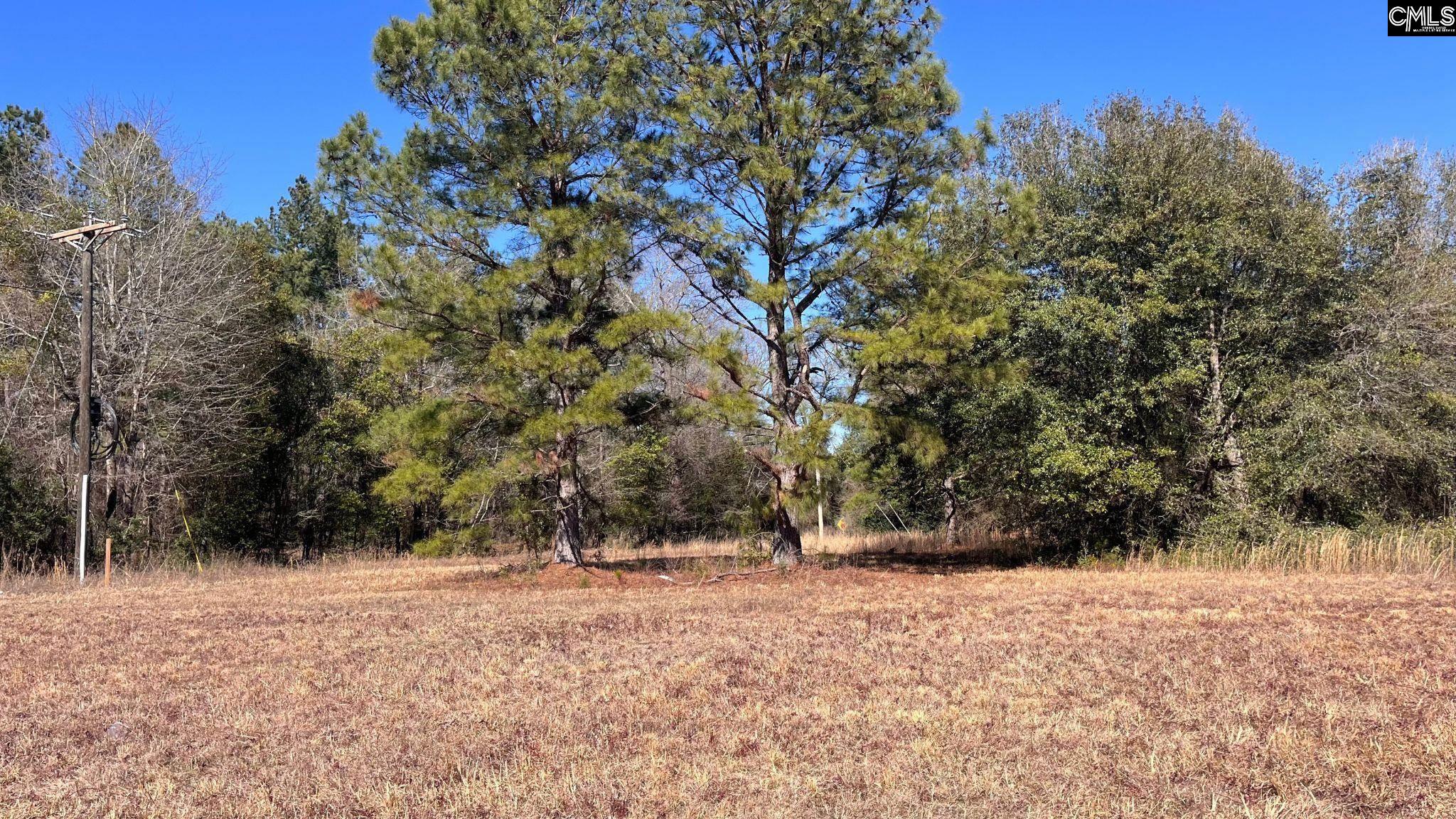 Tbd Veterans Road Salley, SC 29137 - Photo 1 of 17