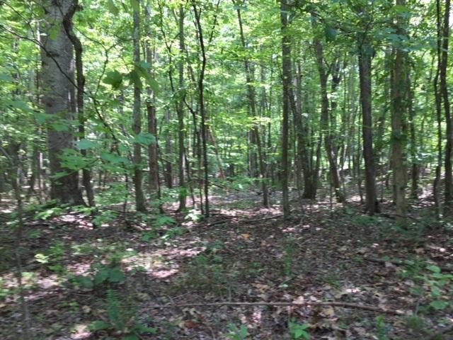 1451 Stagecoach Road Sewanee, TN 37375 - Photo 1 of 16 Gallery Image 1