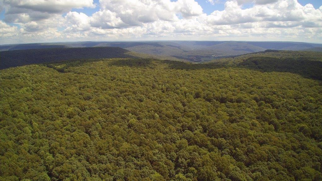 1451 Stagecoach Road Sewanee, TN 37375 - Photo 11 of 16 Gallery Image 11