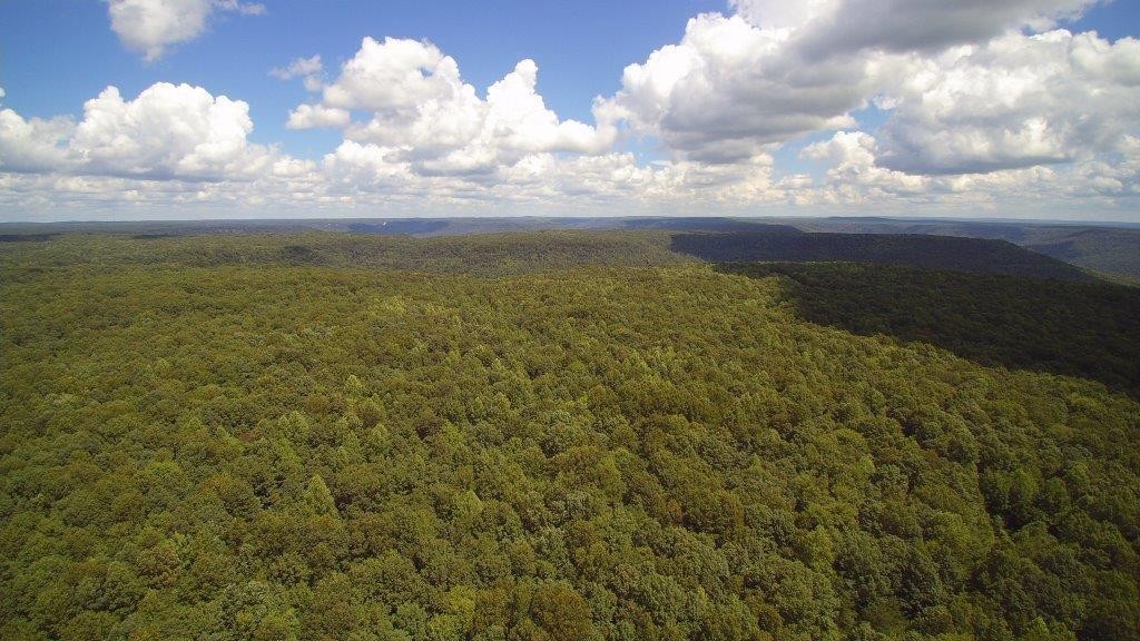 1451 Stagecoach Road Sewanee, TN 37375 - Photo 15 of 16 Gallery Image 15