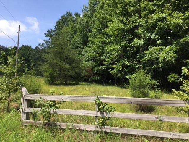 1451 Stagecoach Road Sewanee, TN 37375 - Photo 8 of 16 Gallery Image 8