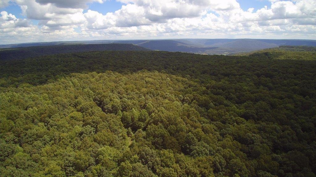 1451 Stagecoach Road Sewanee, TN 37375 - Photo 10 of 16 Gallery Image 10