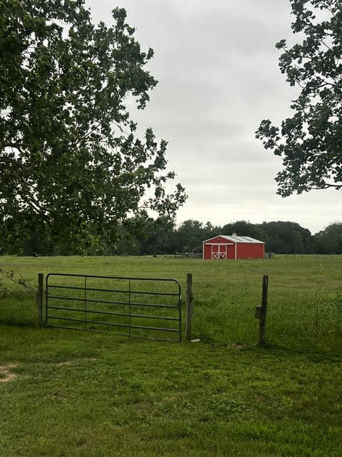 1505 Prairie Valley Road West Point, TX 78963 - Photo 8 of 34 a view of a green field with wooden fence