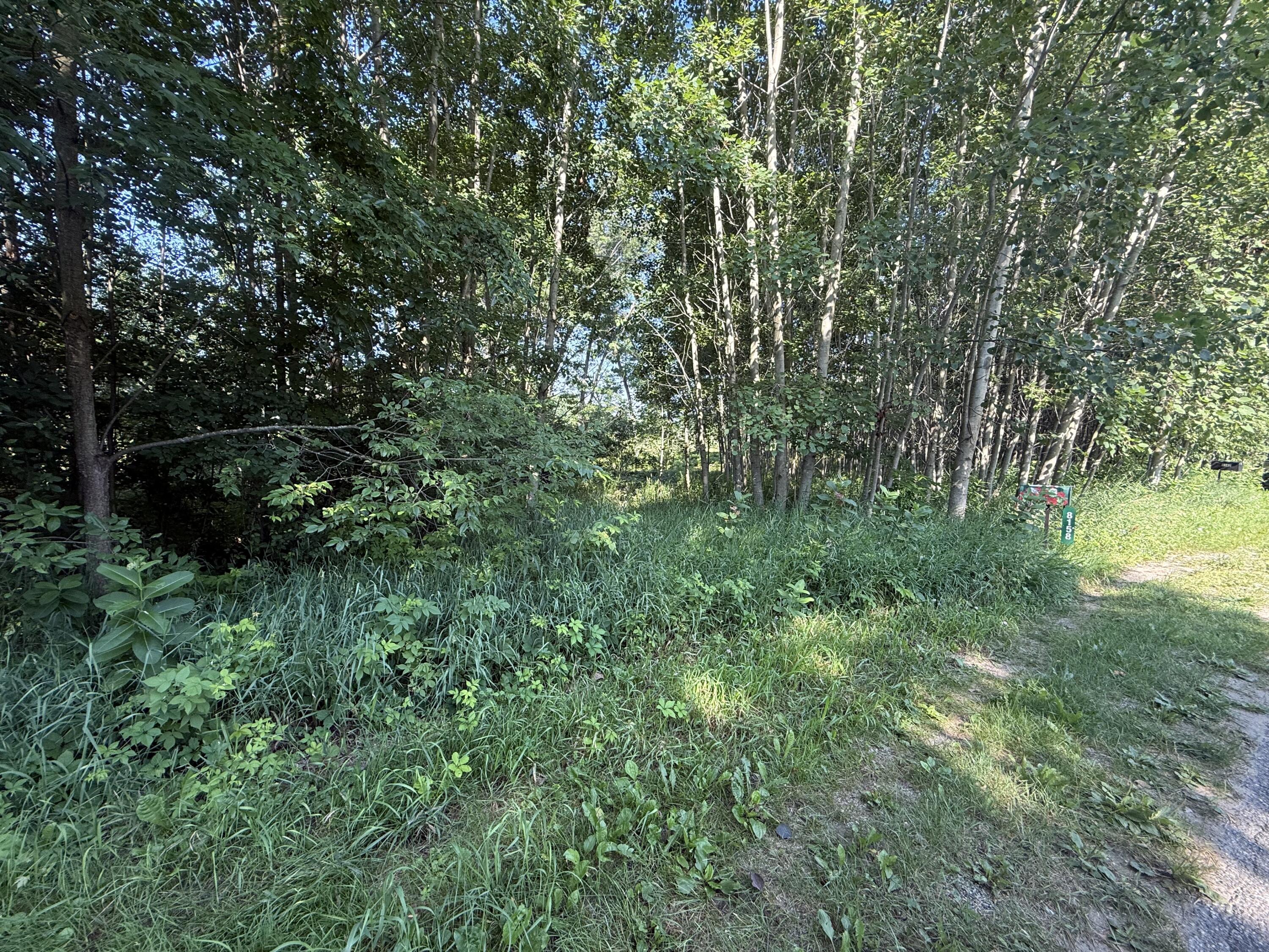 Tbd West Royal Road Stanwood, MI 49346 - Photo 2 of 9 IMG_0858