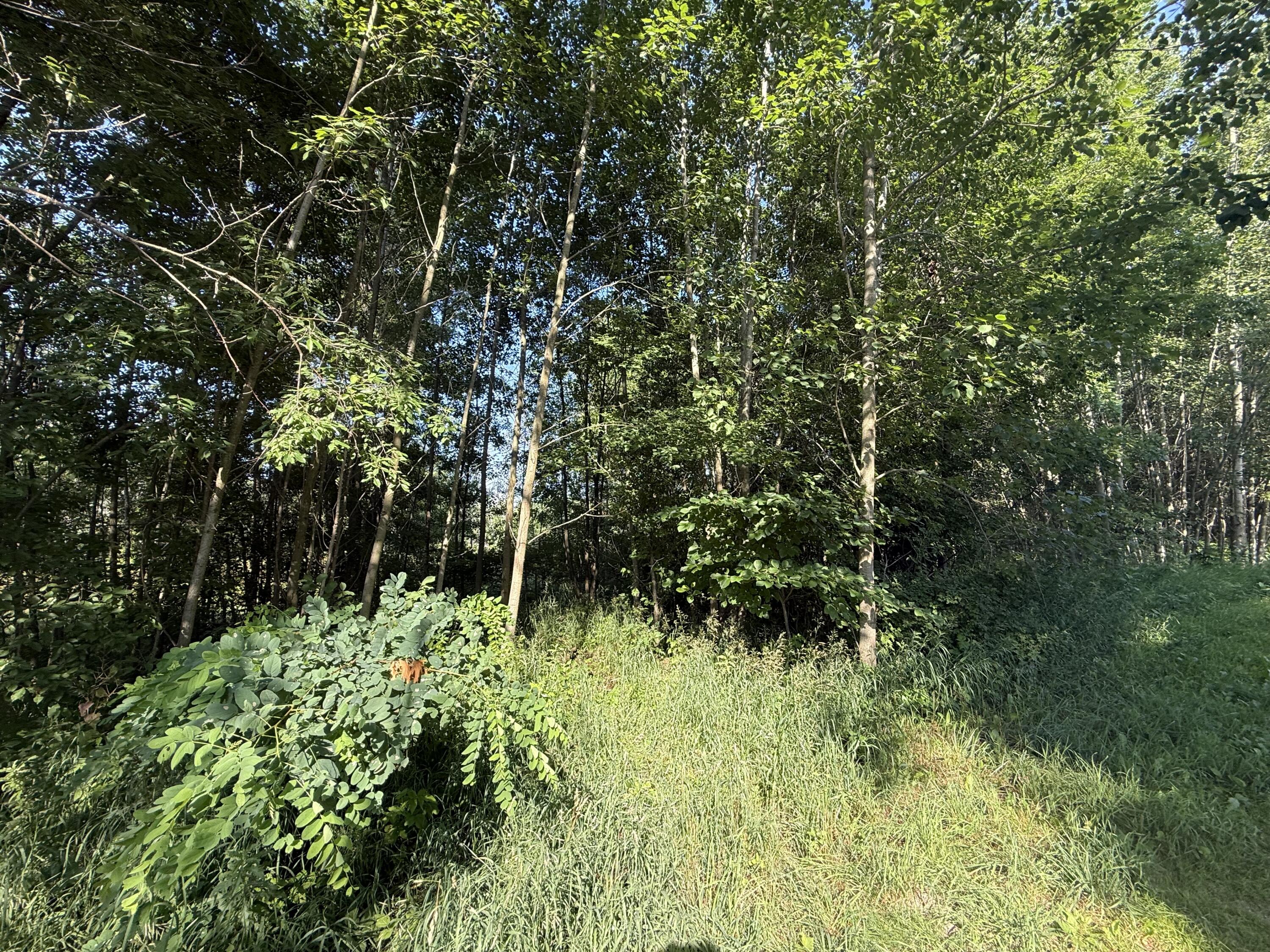 Tbd West Royal Road Stanwood, MI 49346 - Photo 3 of 9 IMG_0859