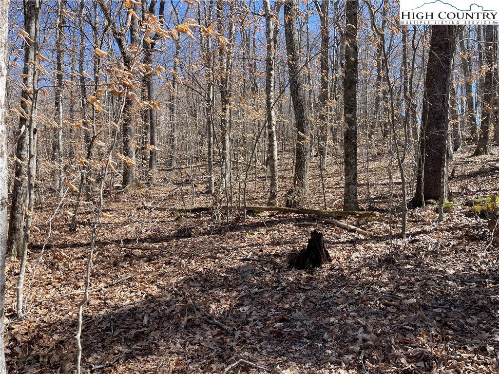 Lot B Tyneridge Road Banner Elk, NC 28604 - Photo 11 of 12