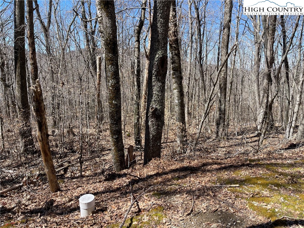 Lot B Tyneridge Road Banner Elk, NC 28604 - Photo 12 of 12