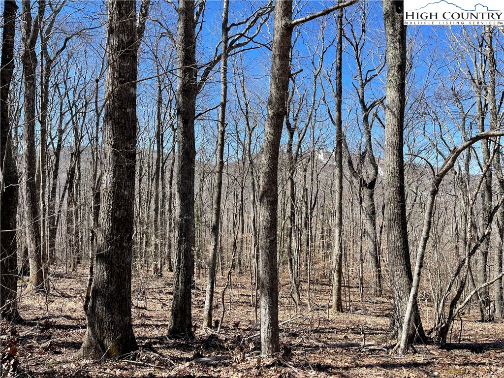 Lot B Tyneridge Road Banner Elk, NC 28604 - Photo 4 of 12