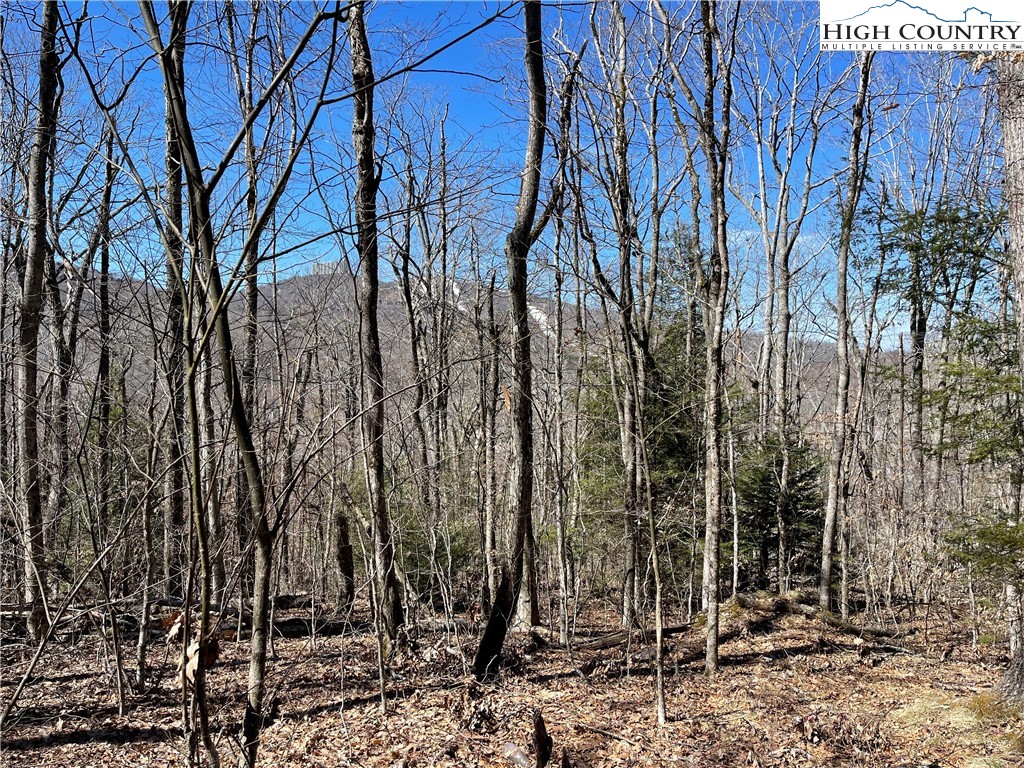 Lot B Tyneridge Road Banner Elk, NC 28604 - Photo 5 of 12