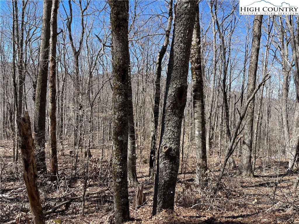 Lot B Tyneridge Road Banner Elk, NC 28604 - Photo 6 of 12