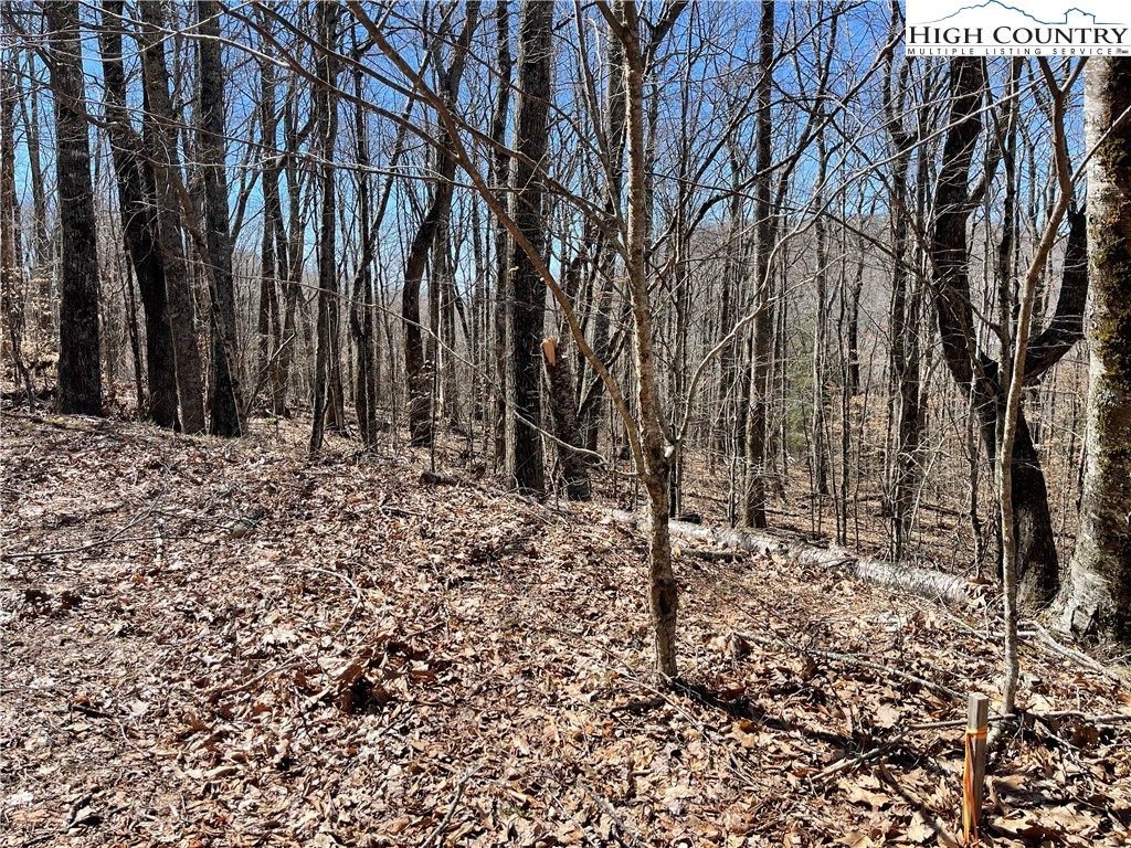 Lot B Tyneridge Road Banner Elk, NC 28604 - Photo 8 of 12