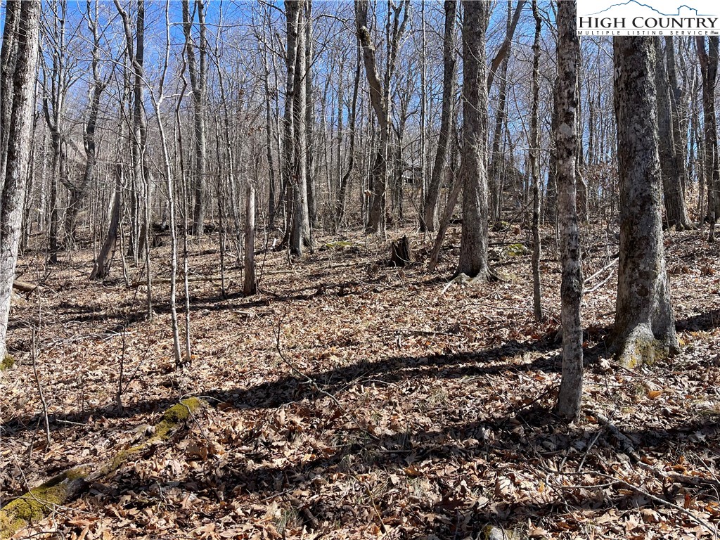Lot B Tyneridge Road Banner Elk, NC 28604 - Photo 9 of 12