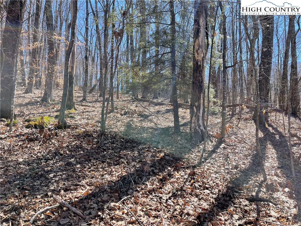 Lot B Tyneridge Road Banner Elk, NC 28604 - Photo 10 of 12