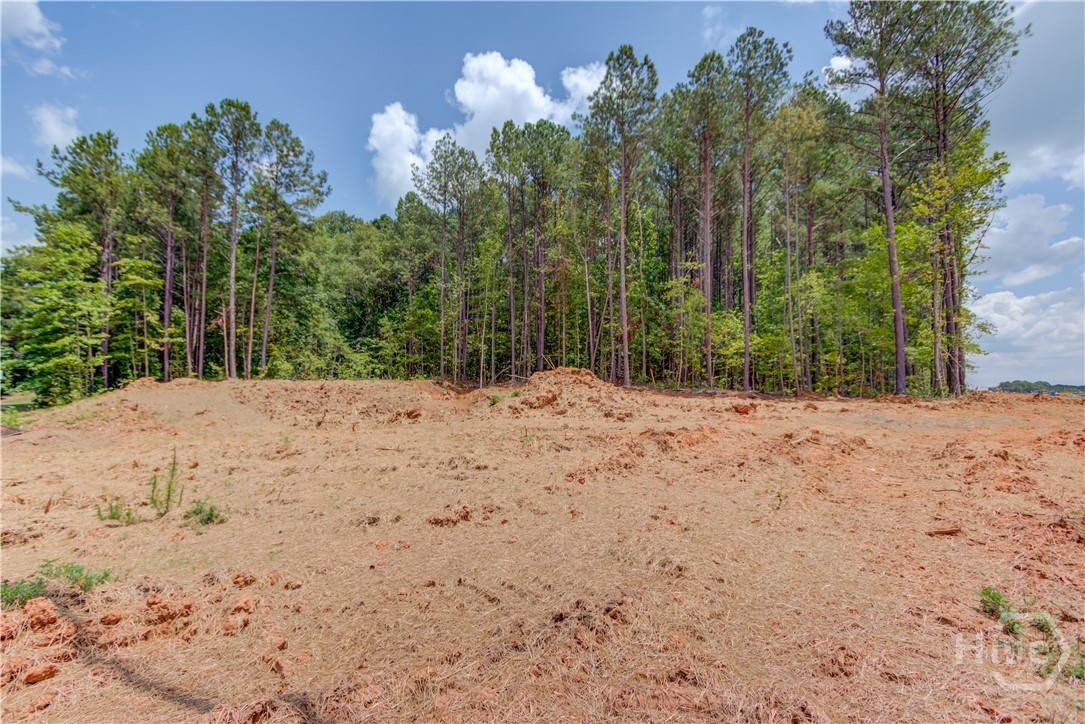 0 McCarty Road Chickamauga, GA 30707 - Photo 9 of 15 Gallery Image 9