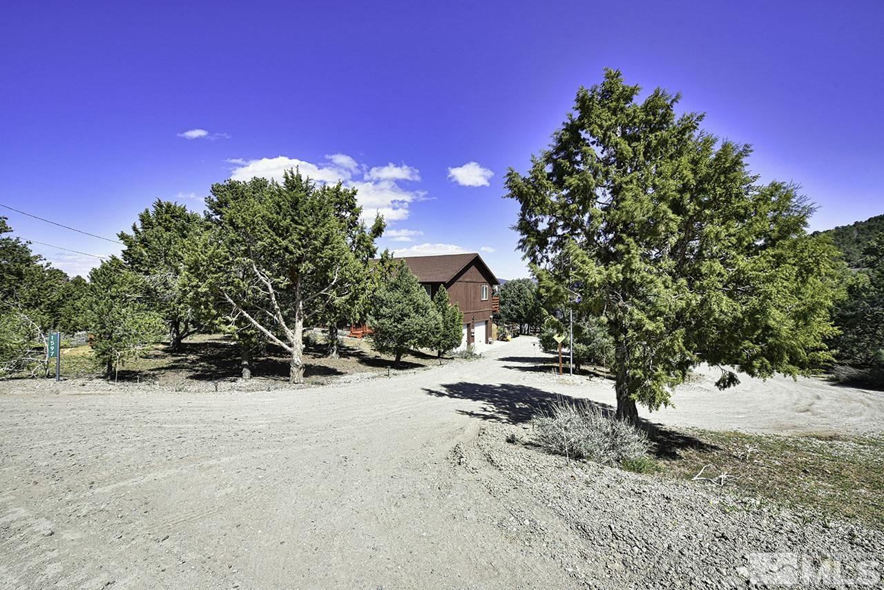 1597 Bonanza Road Reno, NV 89521 - Photo 3 of 28 a view of a road with a yard
