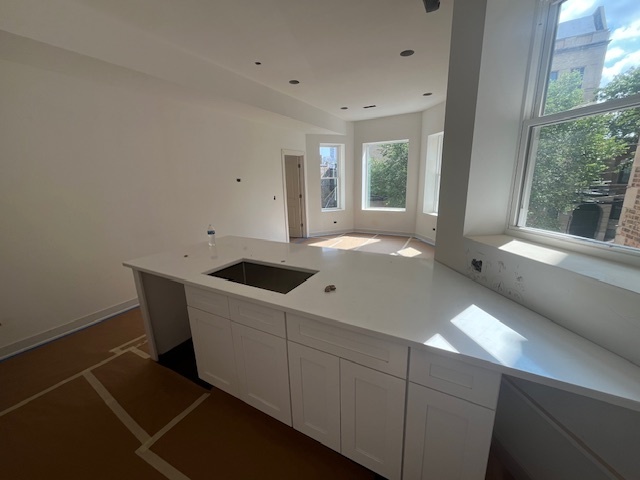 3726 North Racine Avenue, Unit 2 Chicago, IL 60613 - Photo 28 of 29 Gallery Image 28