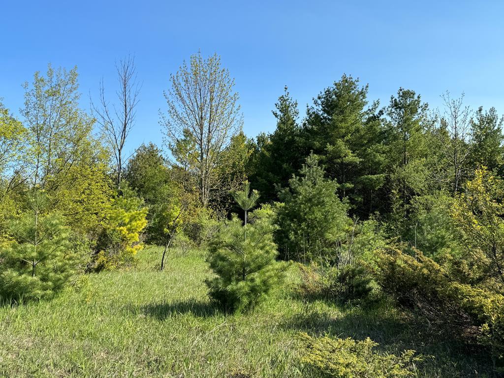 Lot 4 Division Road Egg Harbor, WI 54209 - Photo 1 of 13 Main View