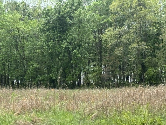 637 Hargis Road Bumpus Mills, TN 37028 - Photo 13 of 17