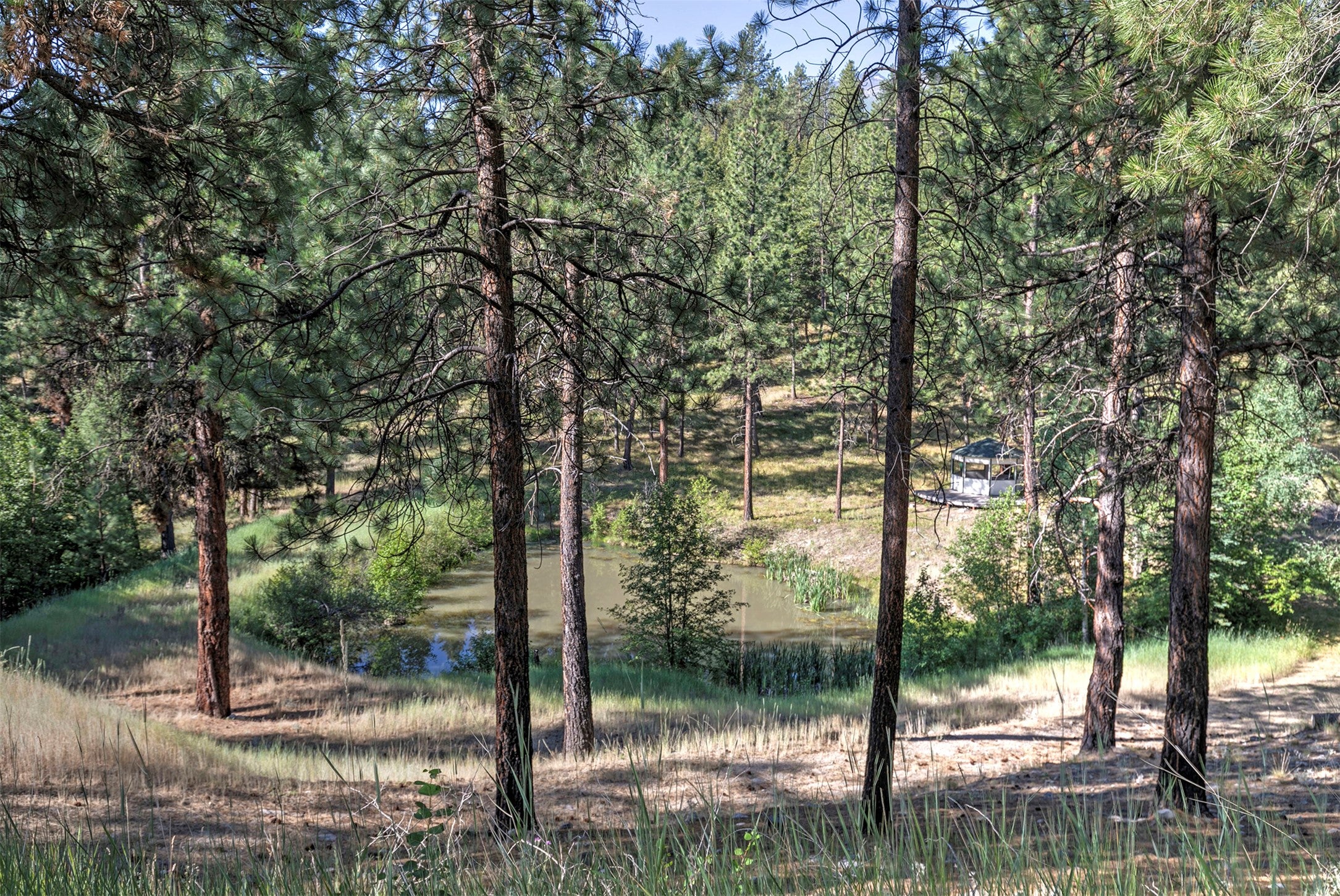 821 Fred Burr Road Victor, MT 59875 - Photo 48 of 65 Gallery Image 48