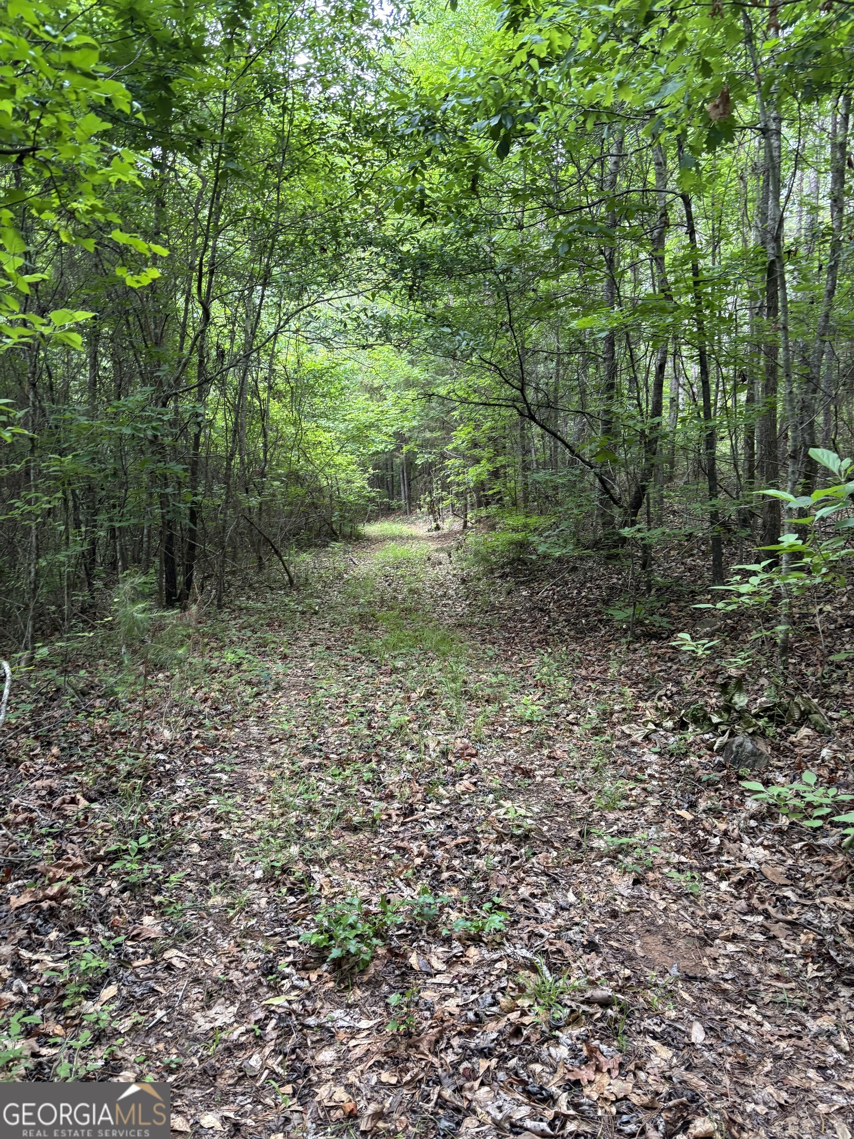 0 County Road 193 Valley, AL 36854 - Photo 14 of 23