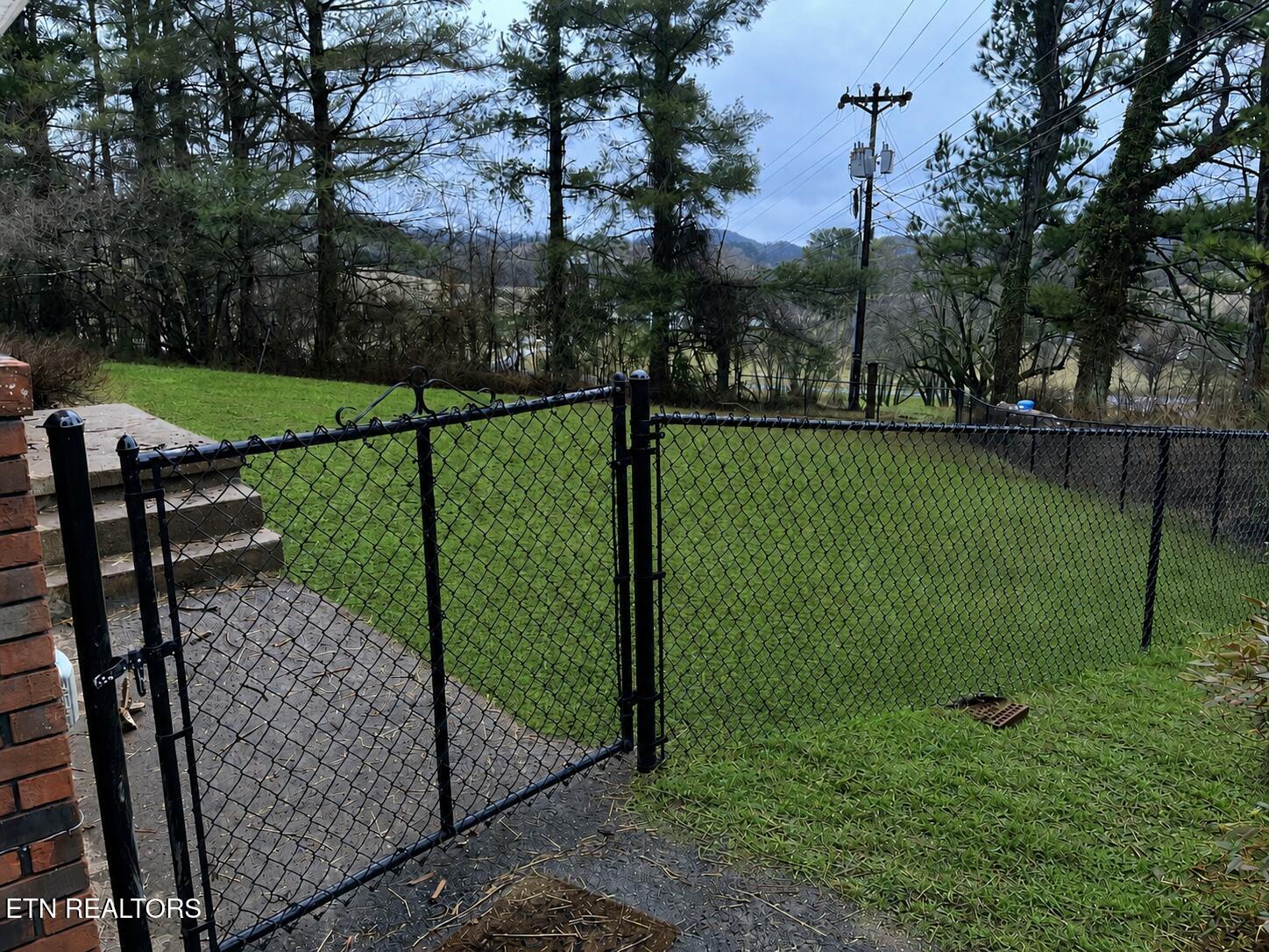 145 Wesley Harrogate, TN 37752 - Photo 4 of 13 Back Yard