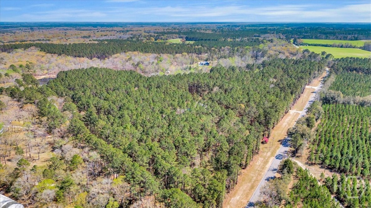 5200 Old River Road South Brooklet, GA 30415 - Photo 47 of 53