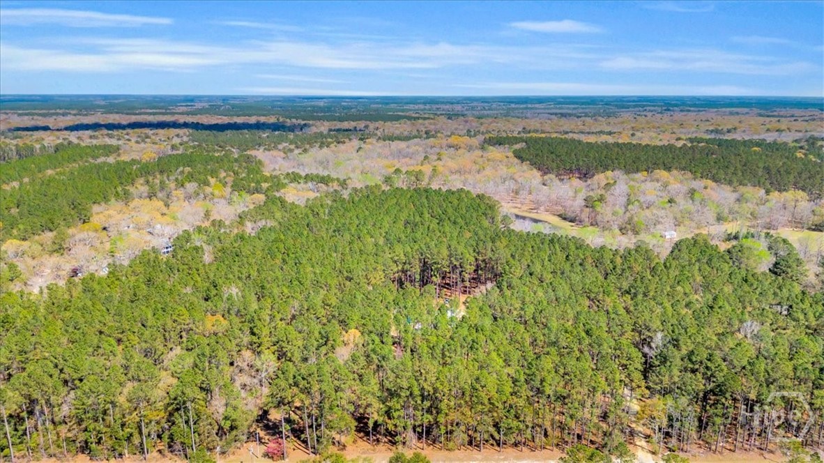 5200 Old River Road South Brooklet, GA 30415 - Photo 48 of 53