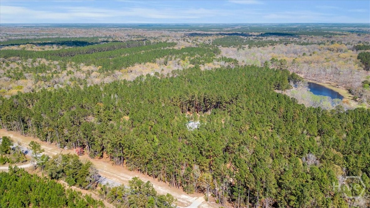 5200 Old River Road South Brooklet, GA 30415 - Photo 49 of 53