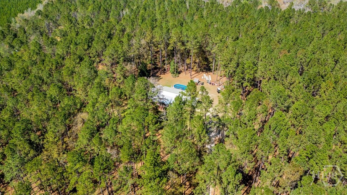 5200 Old River Road South Brooklet, GA 30415 - Photo 50 of 53