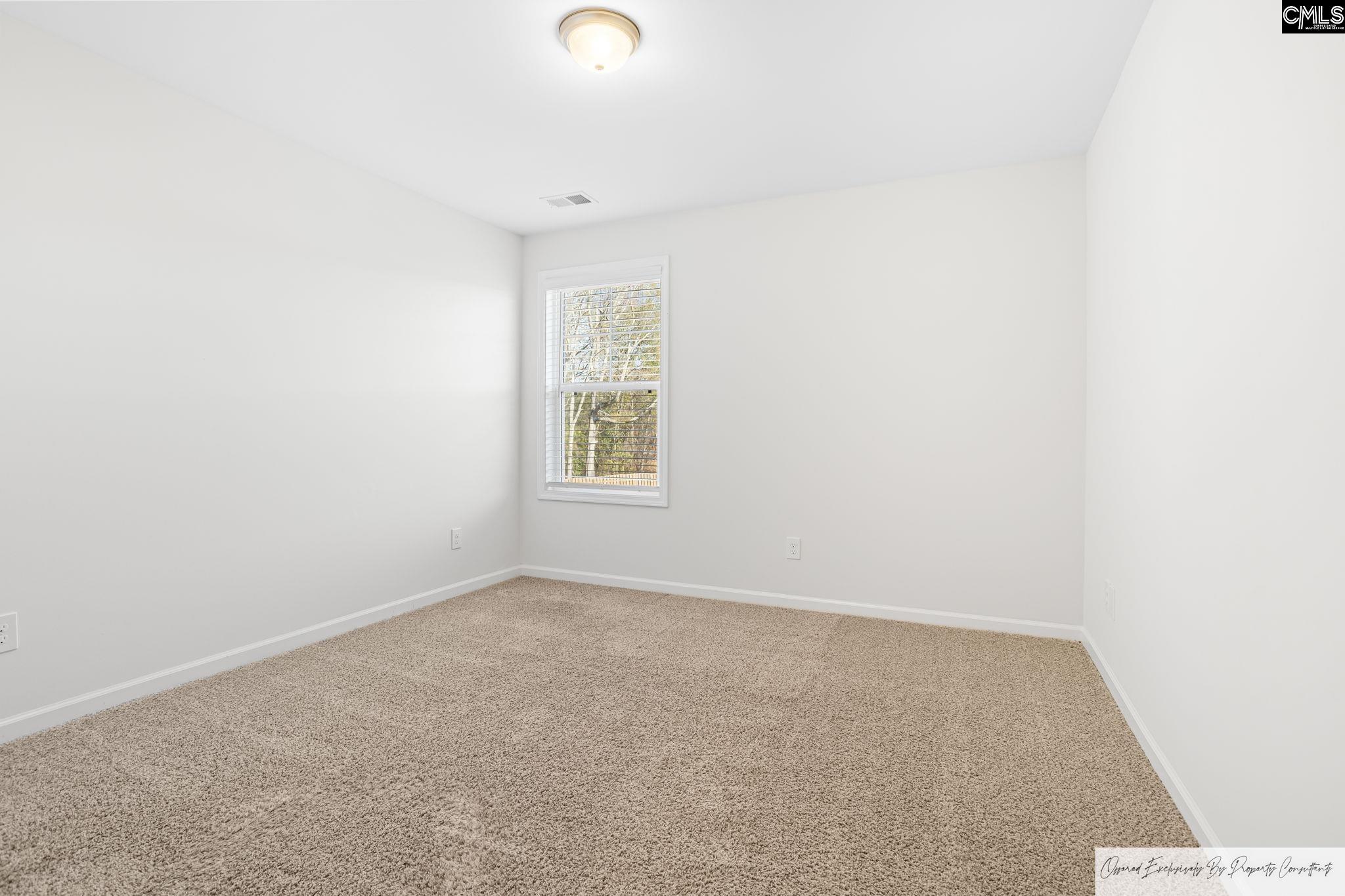 184 Wahoo Circle Irmo, SC 29063 - Photo 24 of 30
