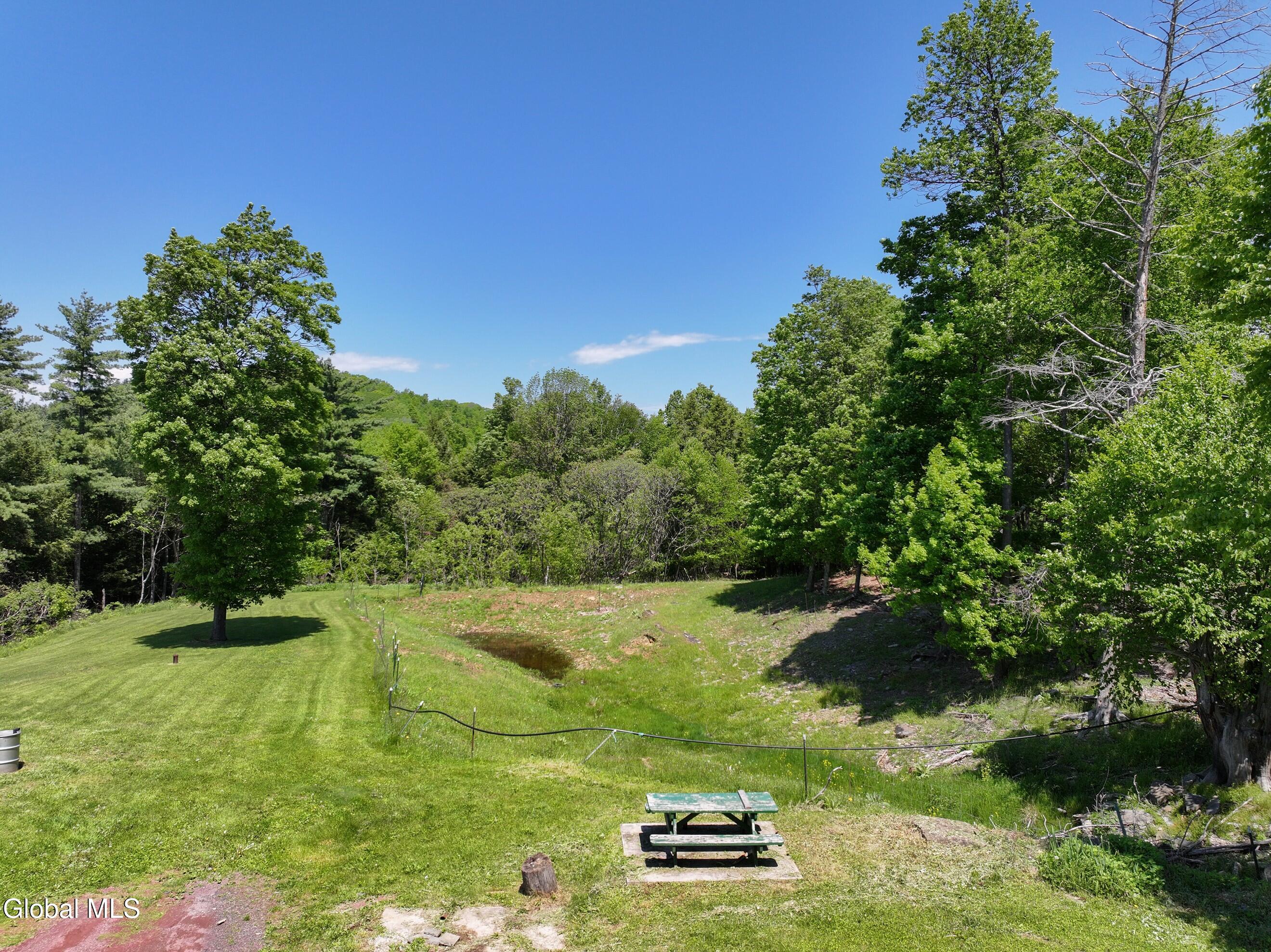 1710 Truthville Road Whitehall, NY 12887 - Photo 59 of 59 DJI_20260526124407_0097_D-2 (Copy)