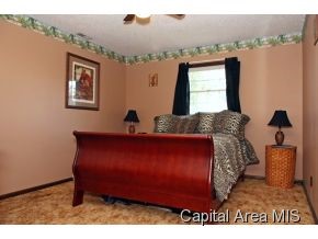 7500 Passfield Road Rochester, IL 62563 - Photo 11 of 19
