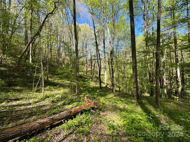 $127,500 | 0 East Silvermine Road, Bryson City, NC 28713