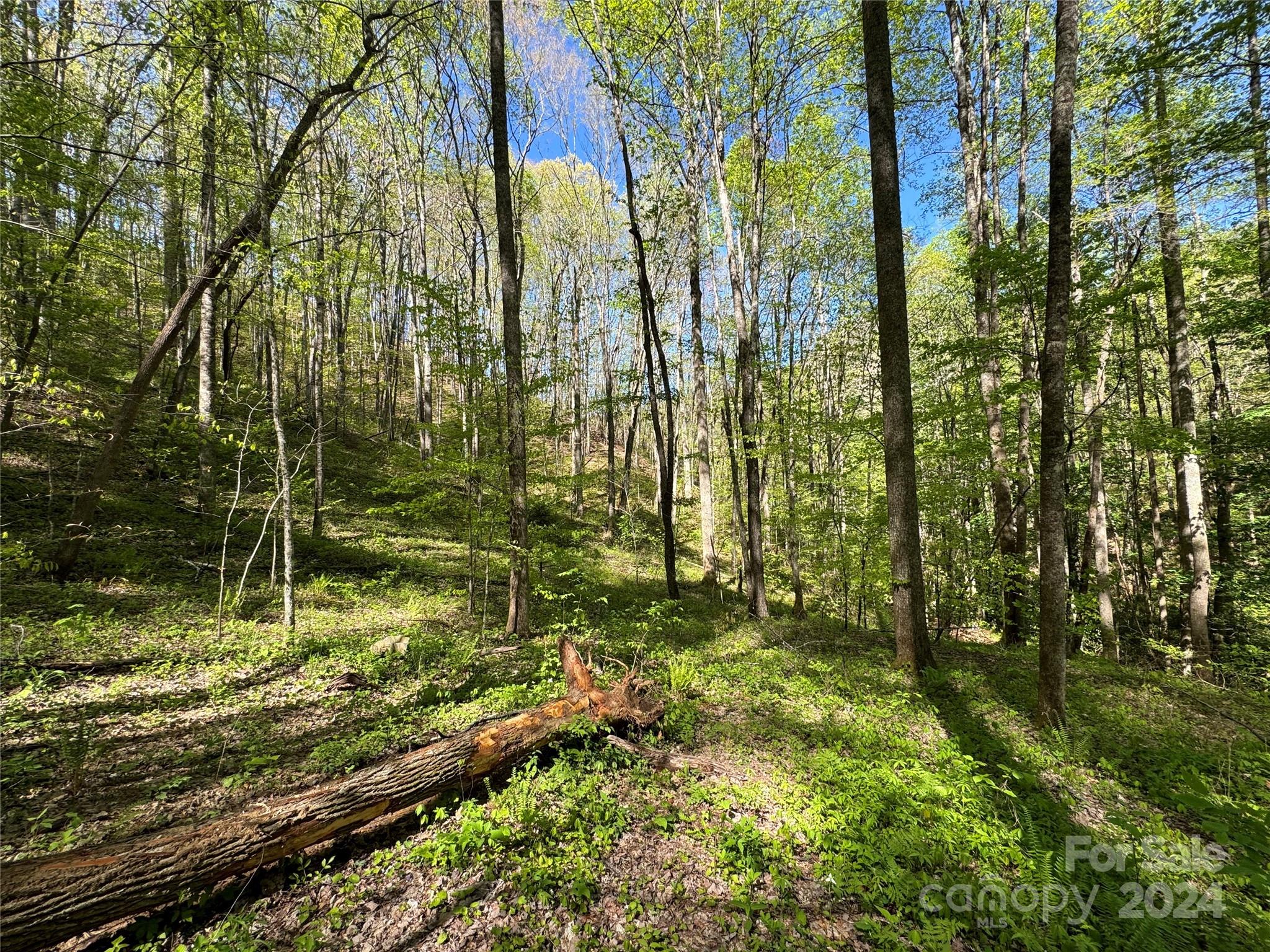 0 East Silvermine Rd