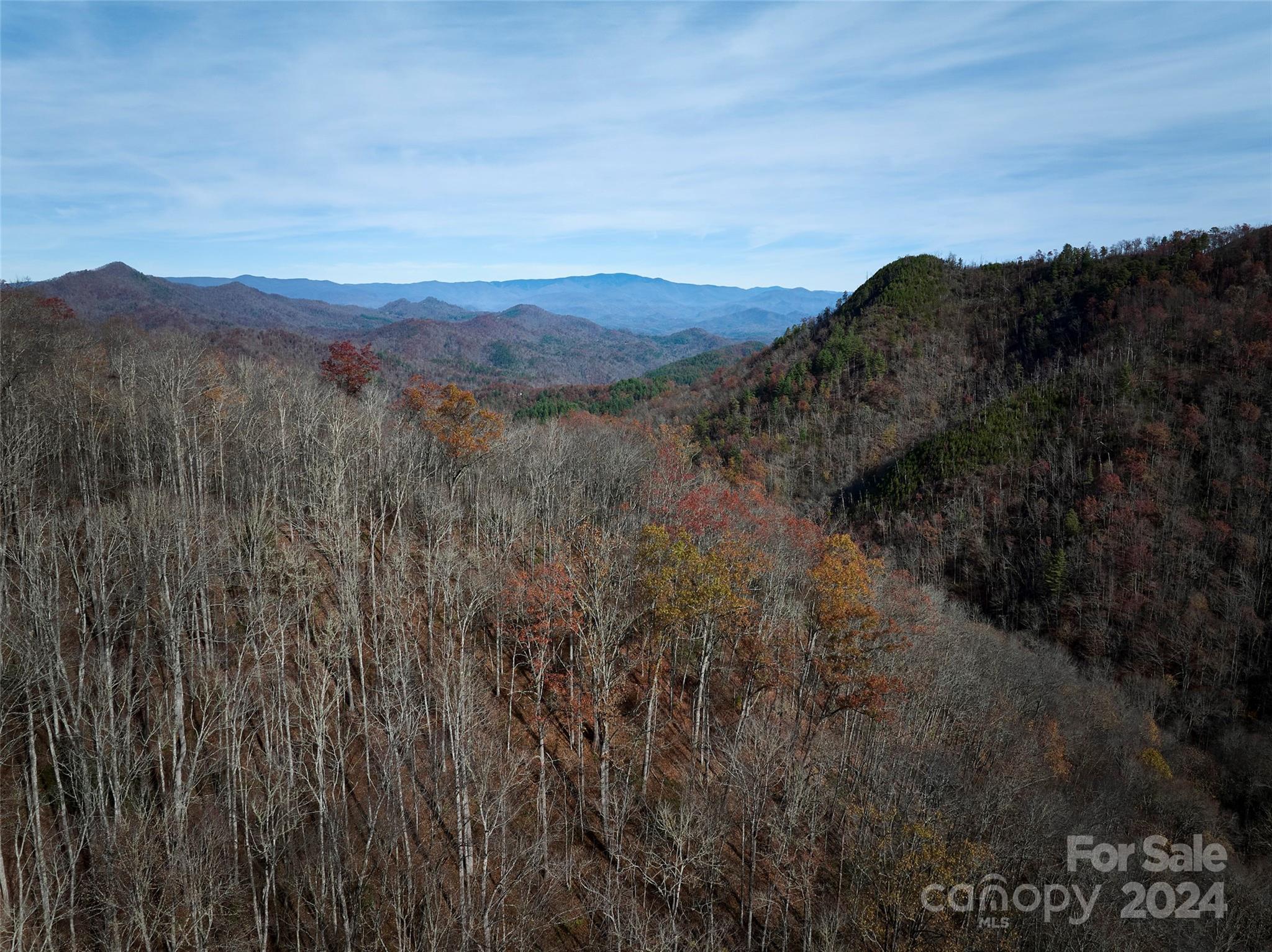 0 East Silvermine Road Bryson City, NC 28713 - Photo 11 of 16