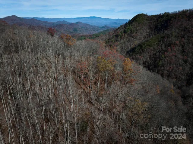 $127,500 | 0 East Silvermine Road, Bryson City, NC 28713