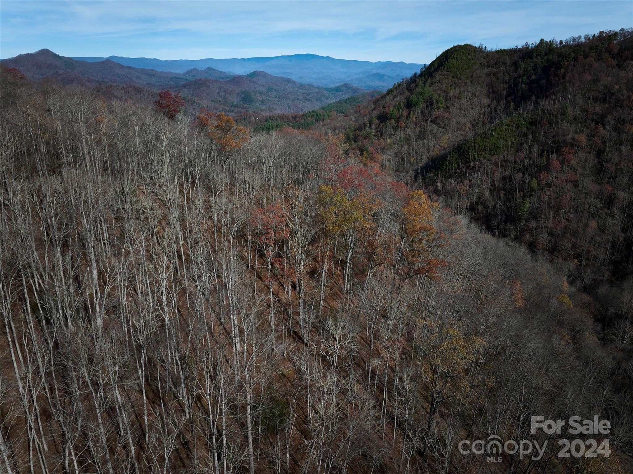 0 East Silvermine Road Bryson City, NC 28713 - Photo 12 of 16