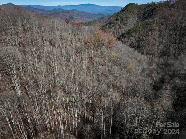 $127,500 | 0 East Silvermine Road, Bryson City, NC 28713