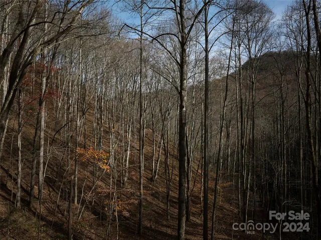 $127,500 | 0 East Silvermine Road, Bryson City, NC 28713