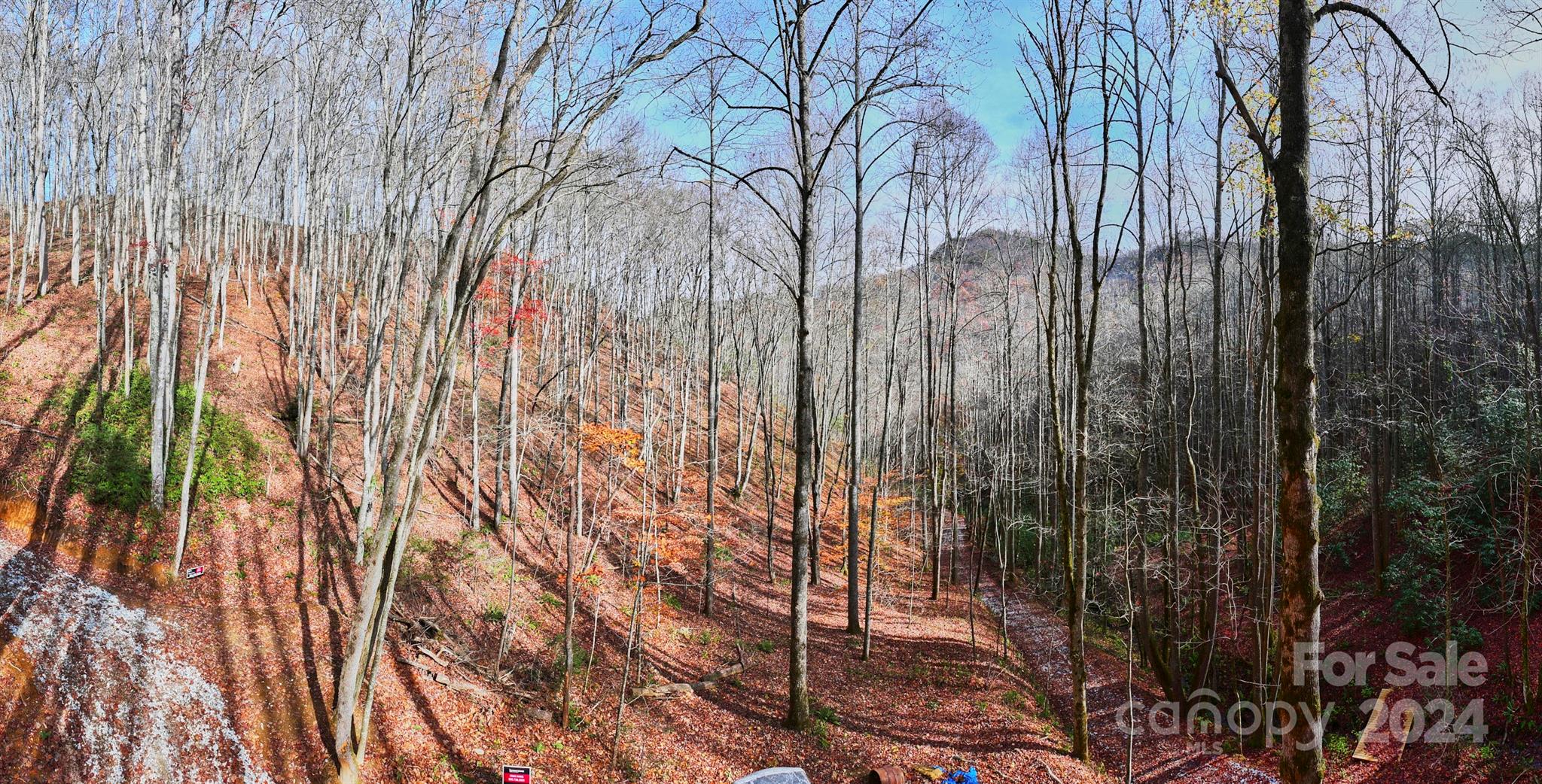 0 East Silvermine Road Bryson City, NC 28713 - Photo 16 of 16