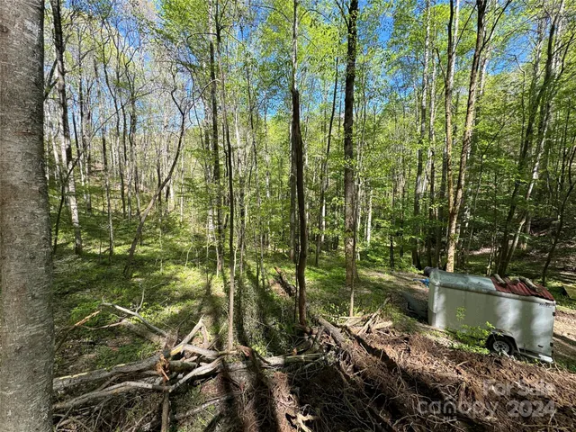 $127,500 | 0 East Silvermine Road, Bryson City, NC 28713