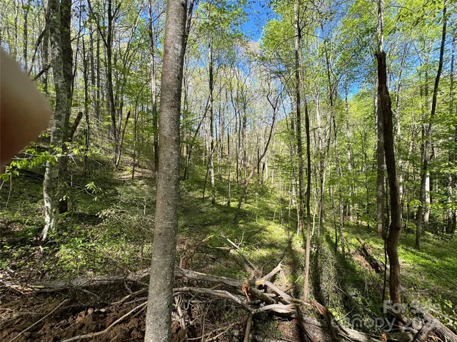 $127,500 | 0 East Silvermine Road, Bryson City, NC 28713