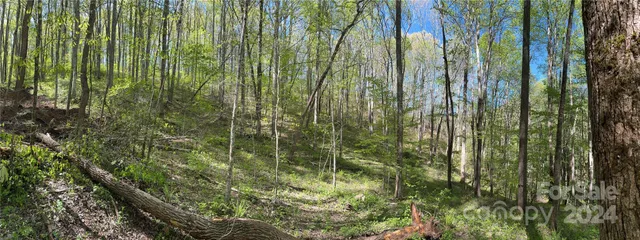 $127,500 | 0 East Silvermine Road, Bryson City, NC 28713