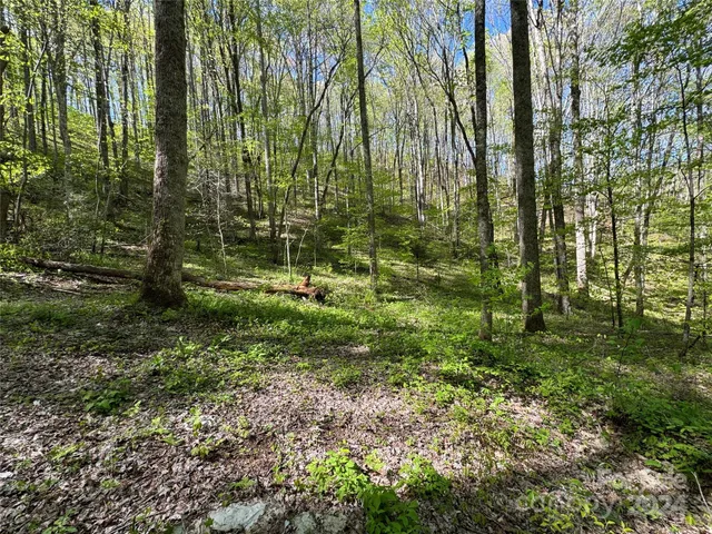 $127,500 | 0 East Silvermine Road, Bryson City, NC 28713
