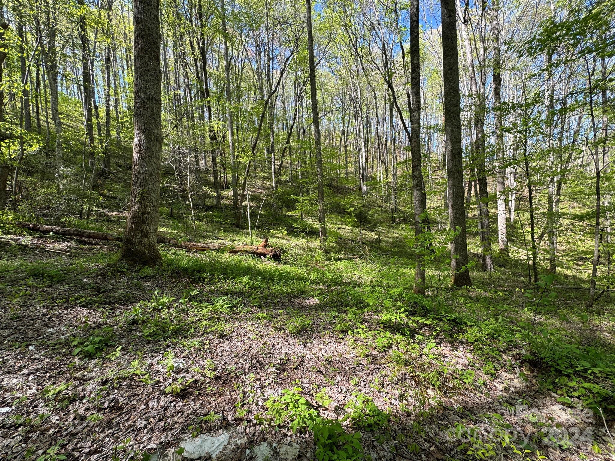 0 East Silvermine Road Bryson City, NC 28713 - Photo 5 of 16