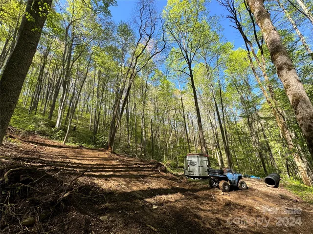 $127,500 | 0 East Silvermine Road, Bryson City, NC 28713