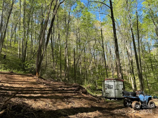 $127,500 | 0 East Silvermine Road, Bryson City, NC 28713