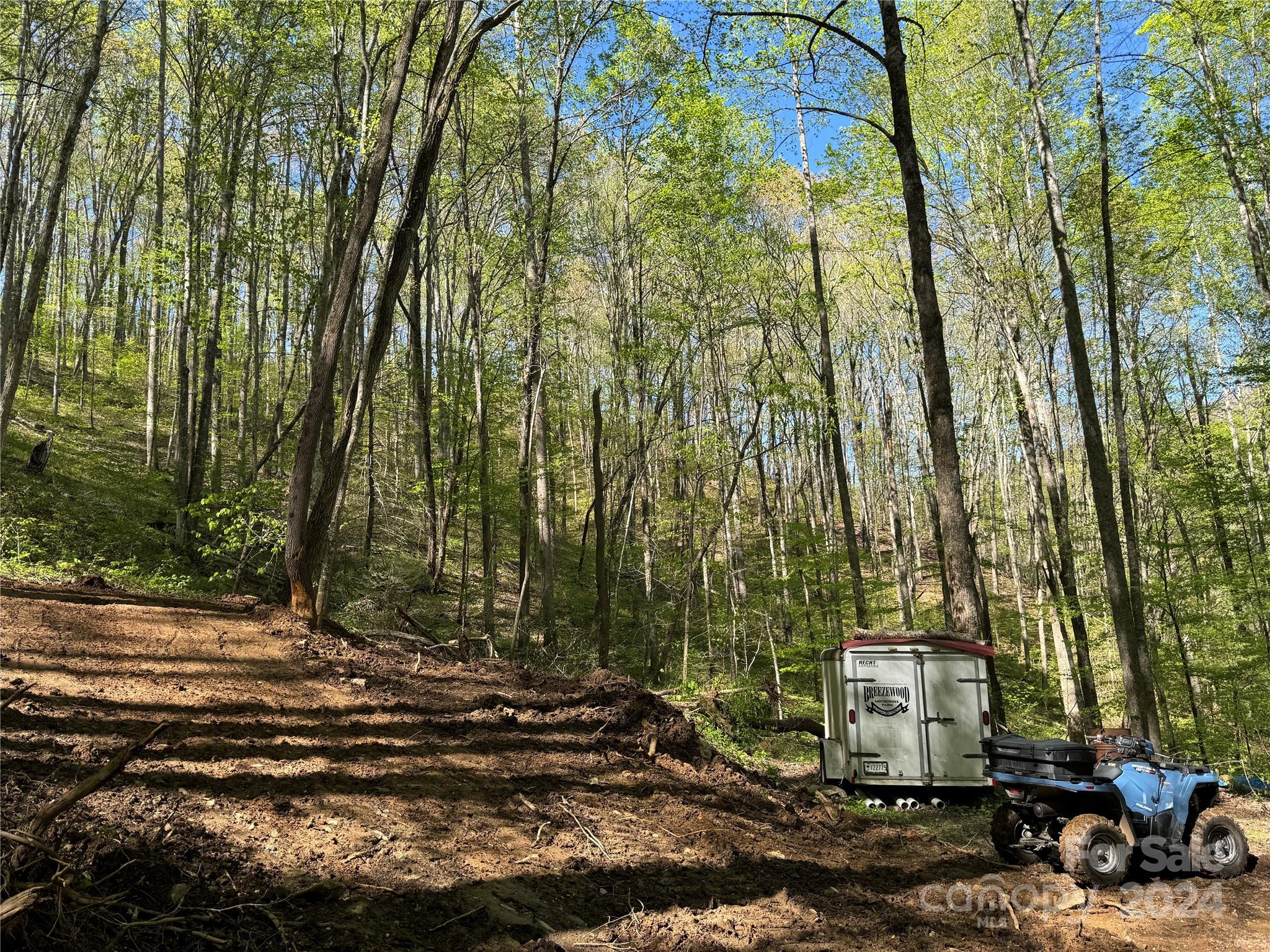 0 East Silvermine Road Bryson City, NC 28713 - Photo 8 of 16