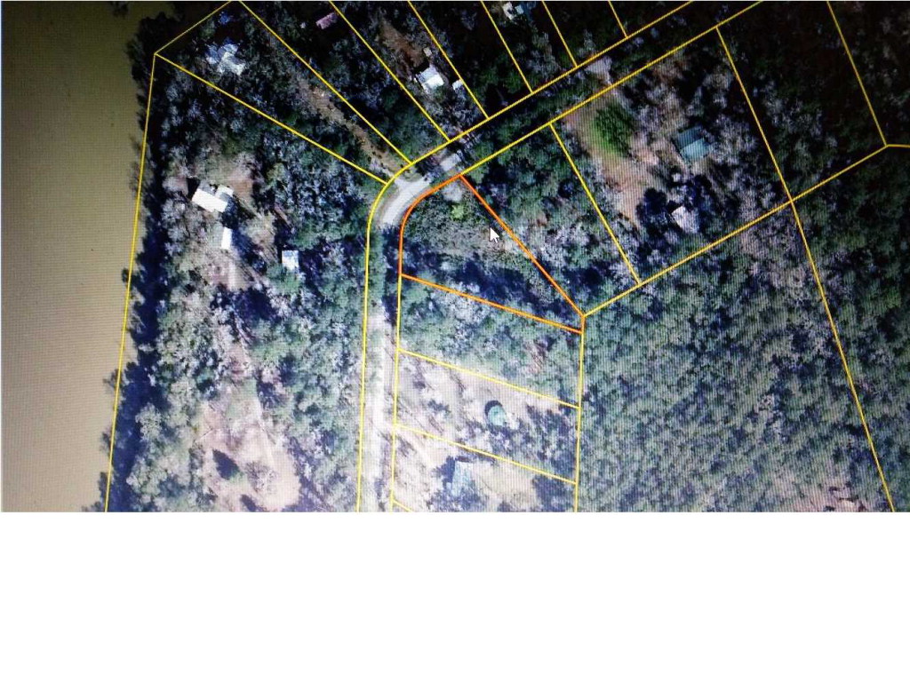 7773 Northwest River Road Bristol, FL 32321 - Photo 1 of 1 Gallery Image 1